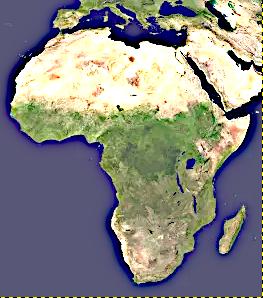 La Collection Africa is beautiful